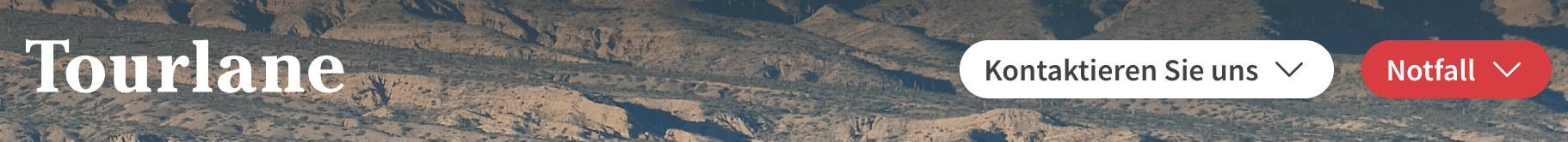 Screenshot 2025-12-11 at 22.02.15.png